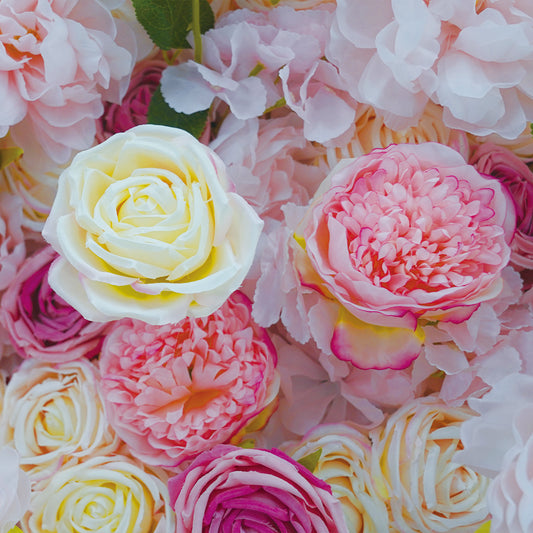 Close-up of colorful roses with a soft focus