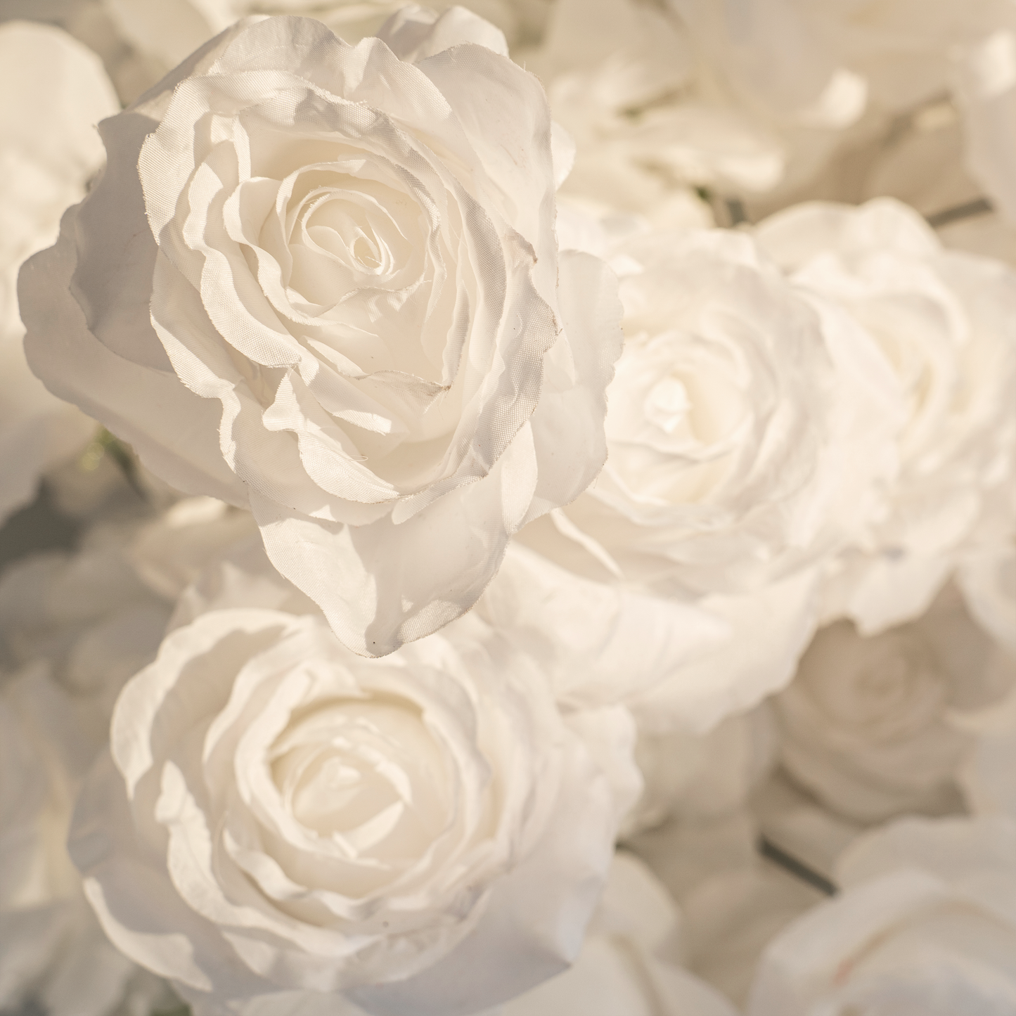 Lightning Deals: Flower Arch 8x8ft 5D Heart Shaped White Roses Floral Fabric Backdrop Proposal Wedding Party Decor