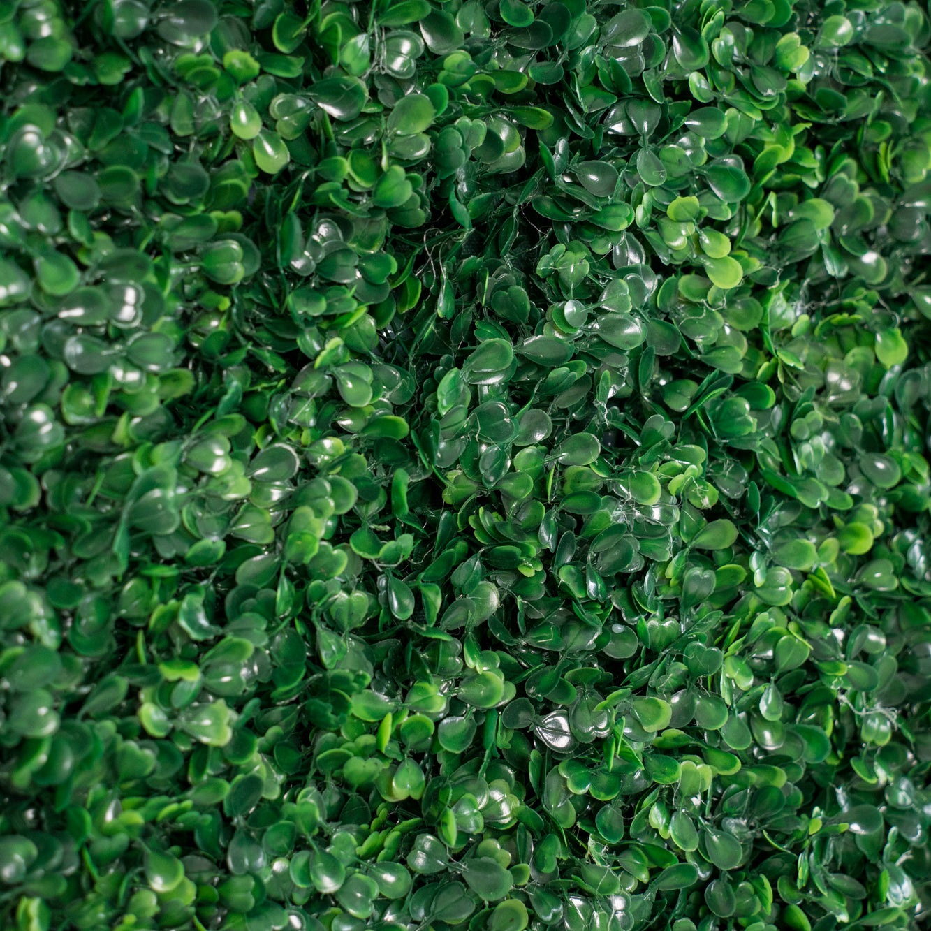 CP SALE Milan Green Wall with Stand and Two Free Gifts