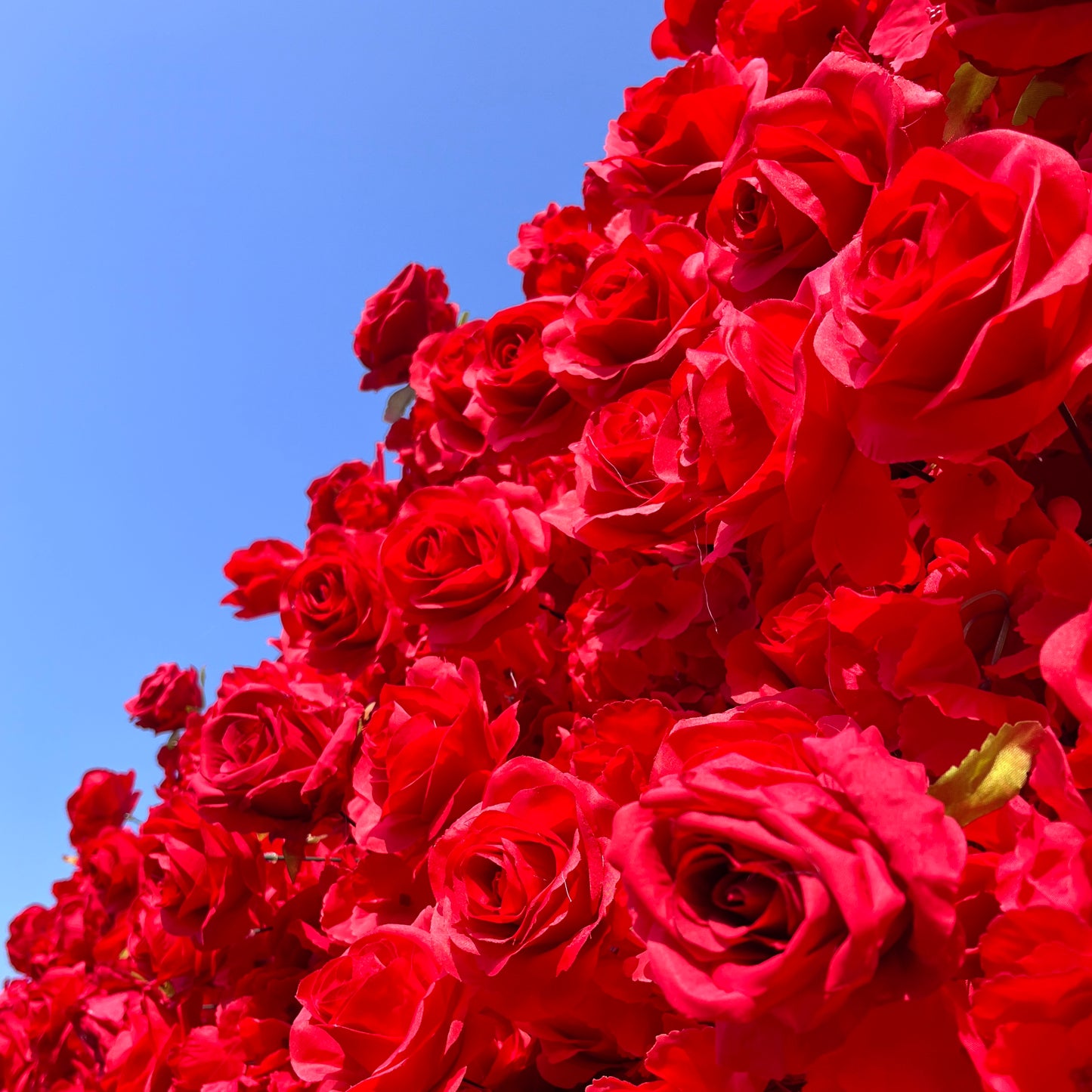 CP SALE Red Roses Artificial Flower Wall with Stand and Two Free Gifts