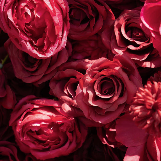 Vibrant colors give the wine red roses flower wall detailed realism and beauty.