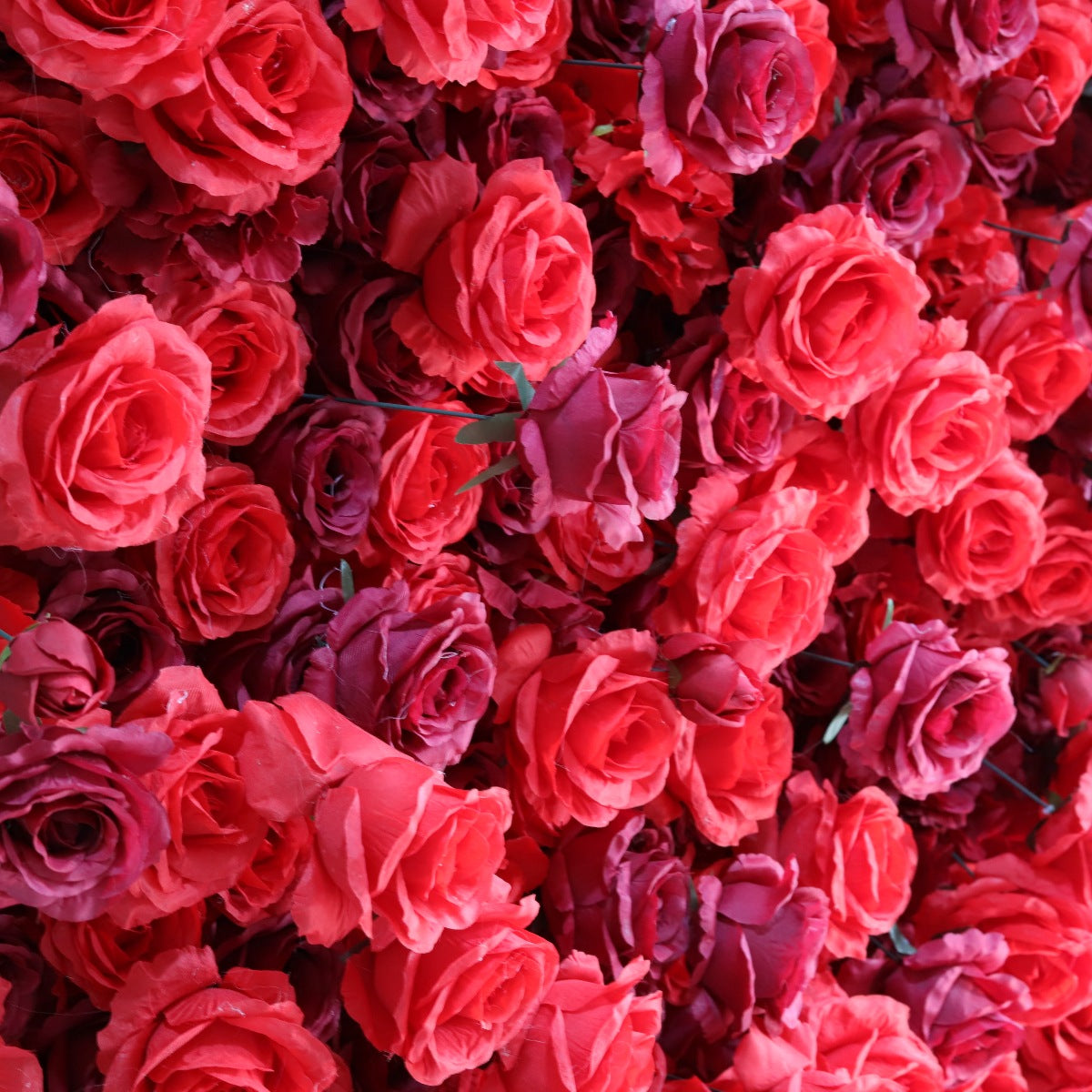 The red and wine red rose flower wall looks warm and realistic.