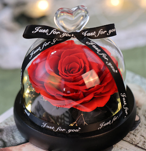 Preserved Flowers Dome Glass for Wedding Party Decor - KetieStory