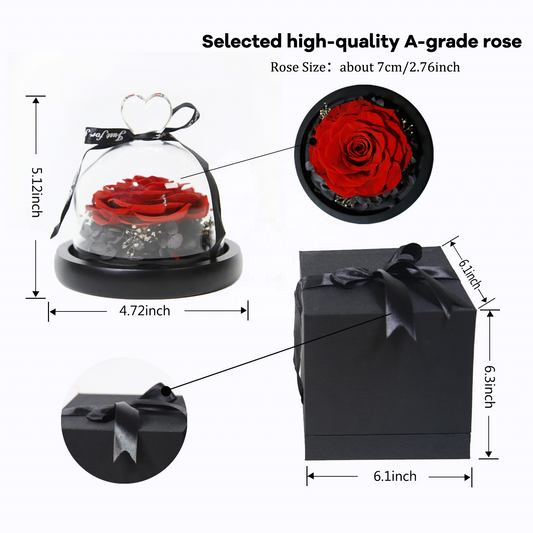 Preserved Flowers Dome Glass for Wedding Party Decor - KetieStory