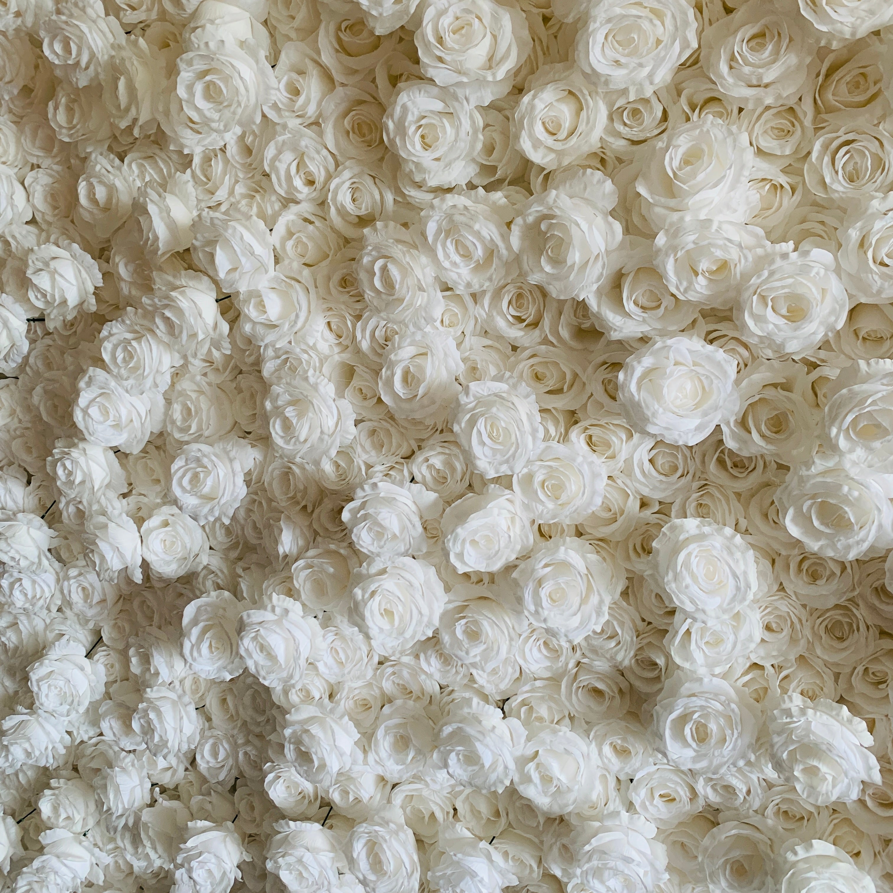 Flower Wall Pure White Rose Fabric Rolling Up Curtain Floral Backdrop Wedding Party Proposal Decor