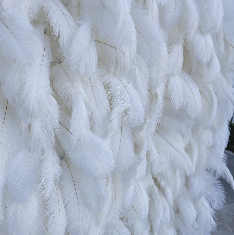 Flower Wall White Ostrich Feather Fabric Rolling Up Curtain Floral Backdrop Wedding Party Proposal Decor