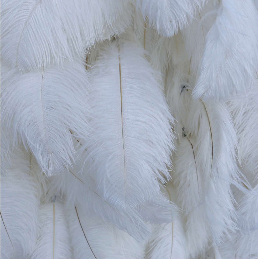 Flower Wall White Ostrich Feather Fabric Rolling Up Curtain Floral Backdrop Wedding Party Proposal Decor
