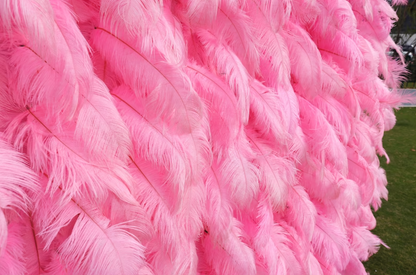 Pink ostrich feather fabric flower wall looks cute and innocent.