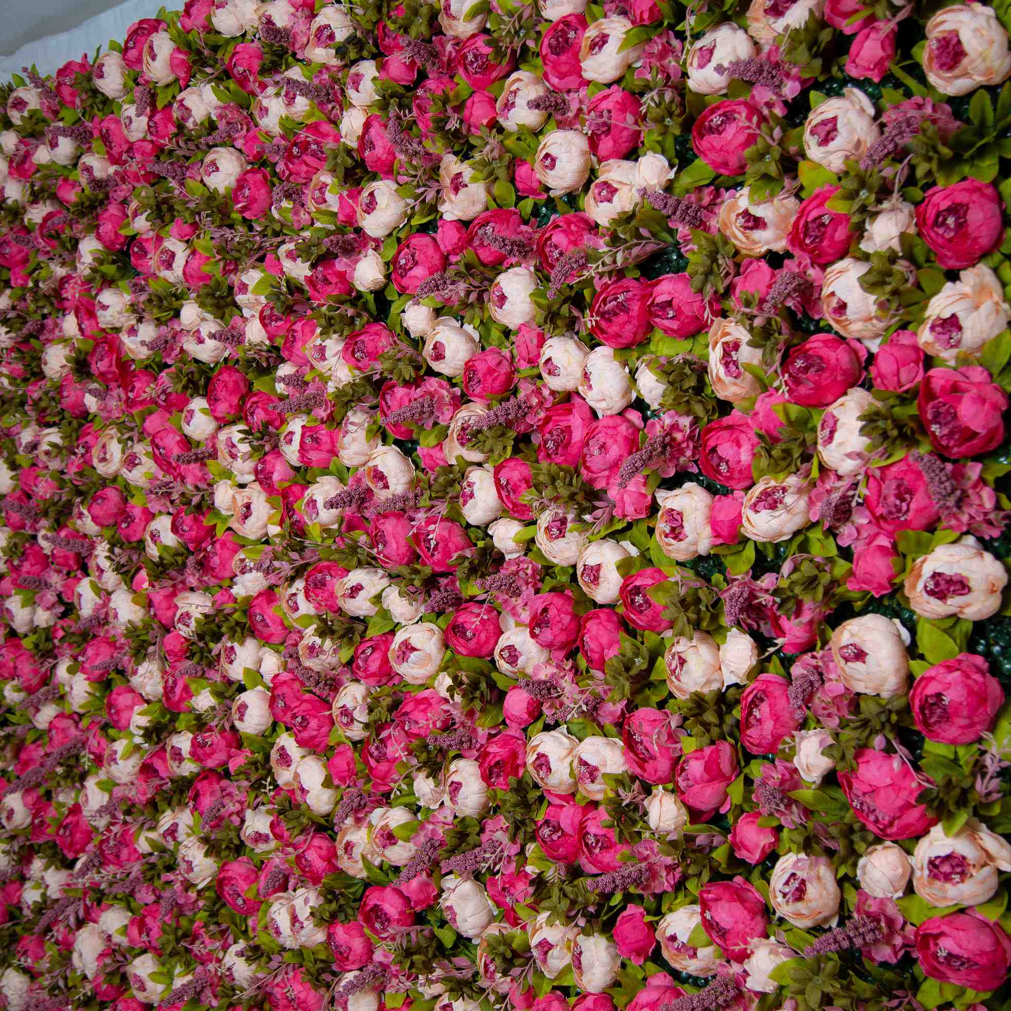 Flower Wall Rose Pink Rolling Up Curtain Floral Backdrop Wedding Party Proposal Decor