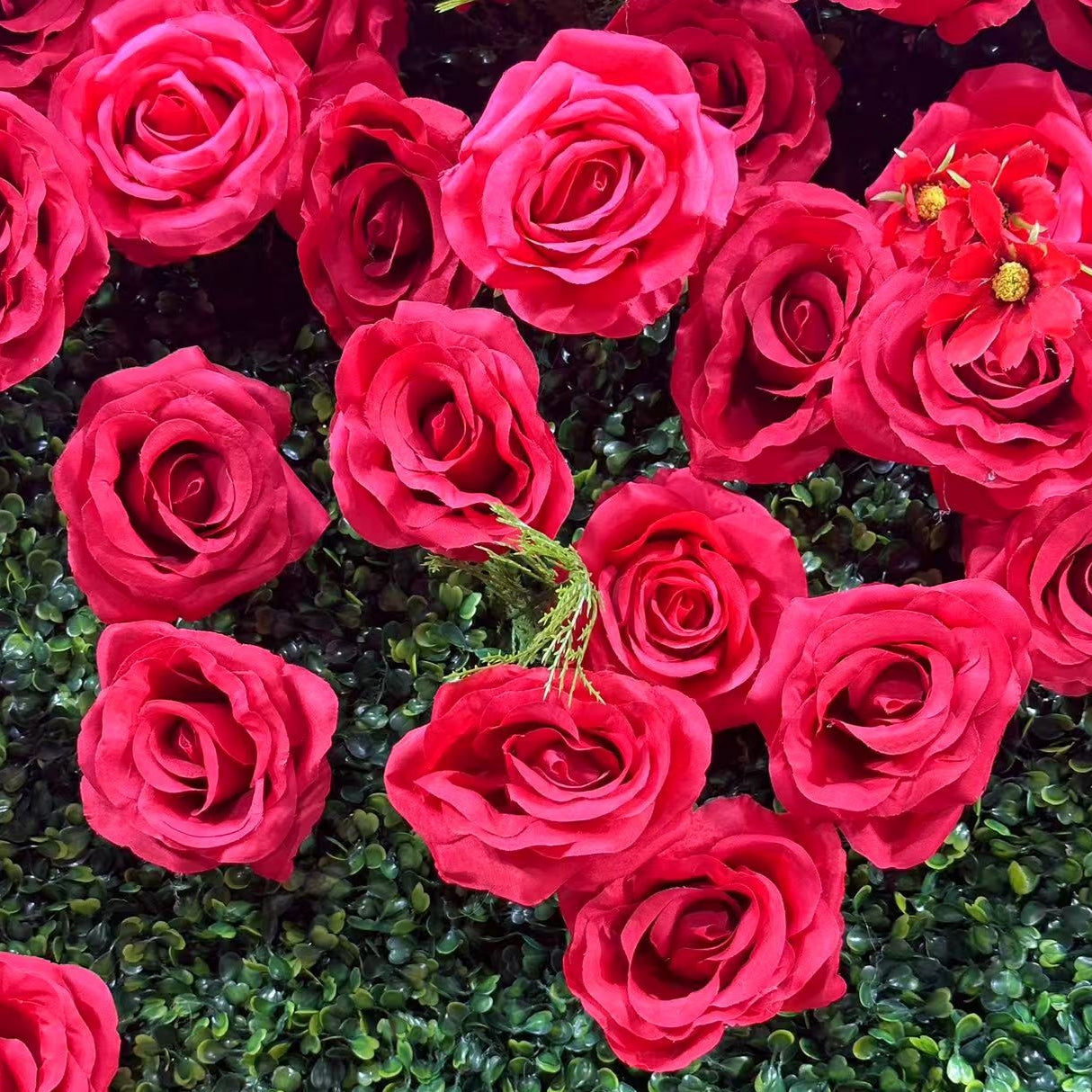 Flower Wall 3D Milan Green Wall Red Rose Fabric Rolling Up Curtain Wedding Party Decor