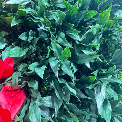 Flower Wall Christmas Evergreen Red Leaves Floral Backdrop for Event Party Decor