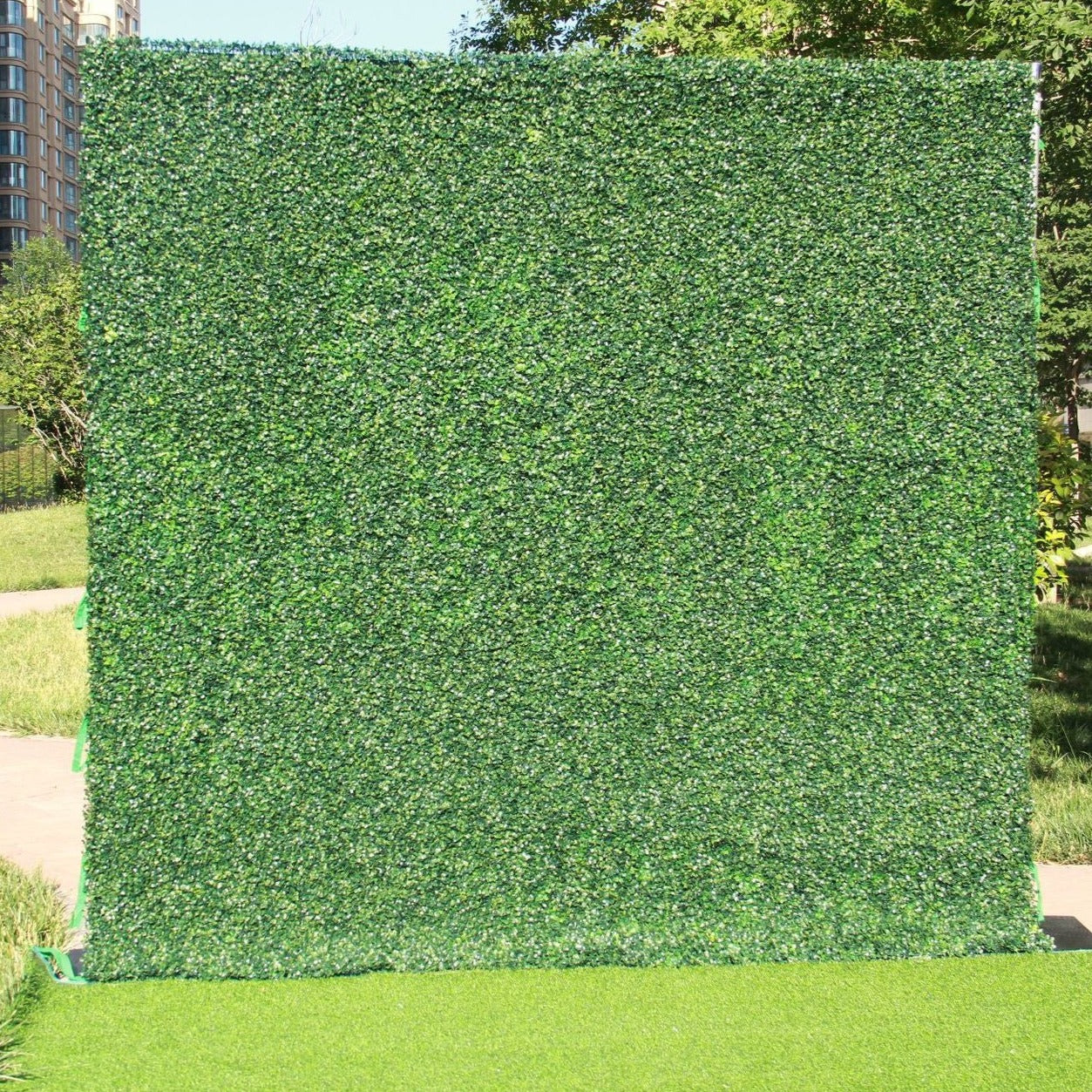 The milan green wall looks full of life.