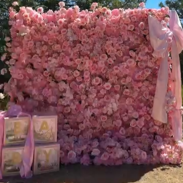 Flower Wall 7D Pink Fabric Rolling Up Curtain Floral Backdrop Wedding Party Proposal Decor