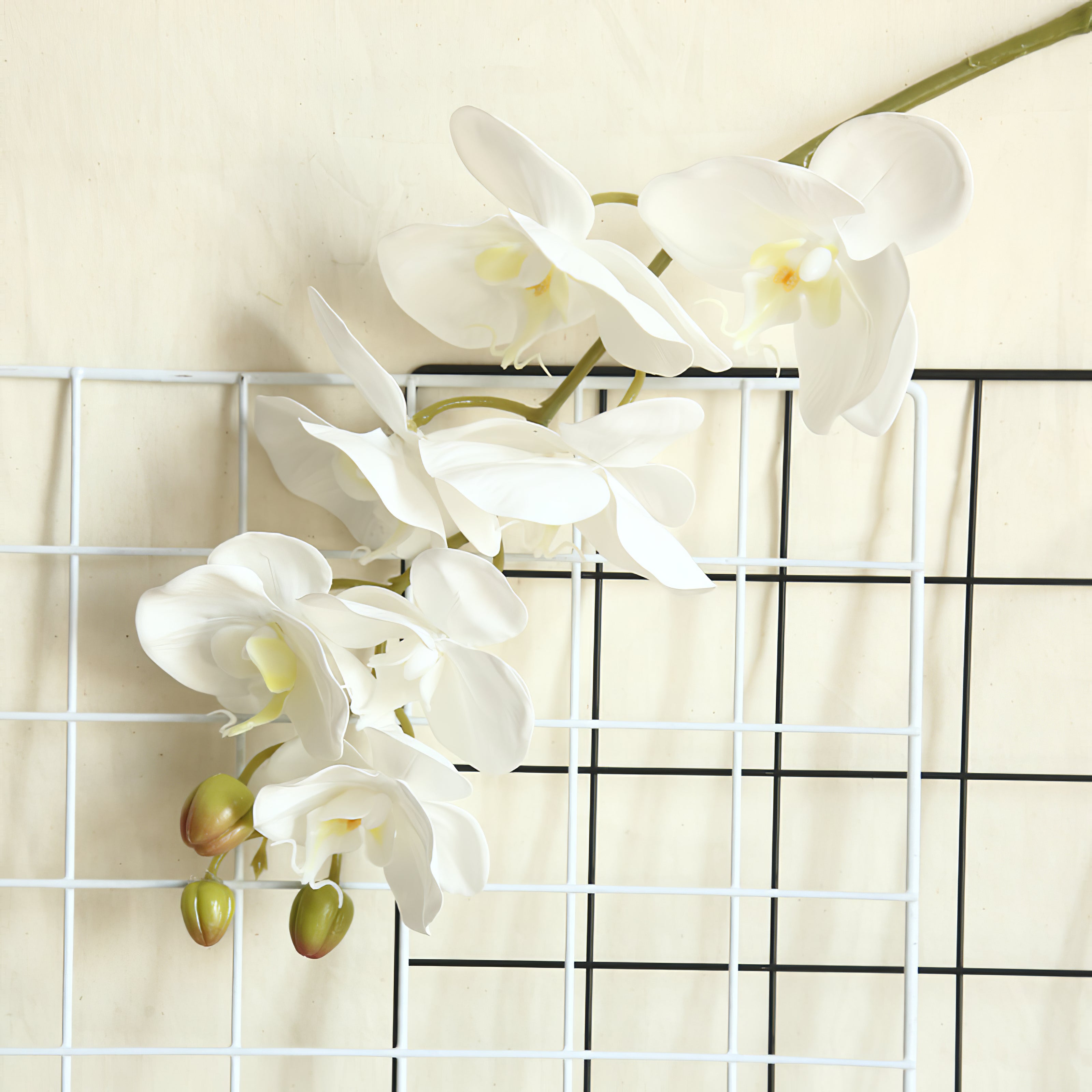6pcs of Phalaenopsis Series for Wedding Party Home Decor