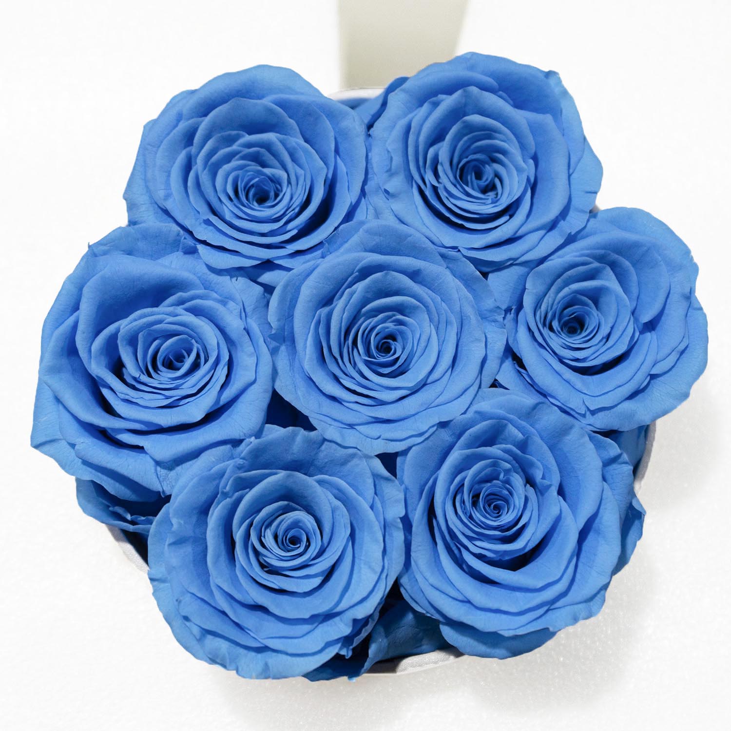 Preserved Flower Roses Series for Wedding Party Proposal - KetieStory