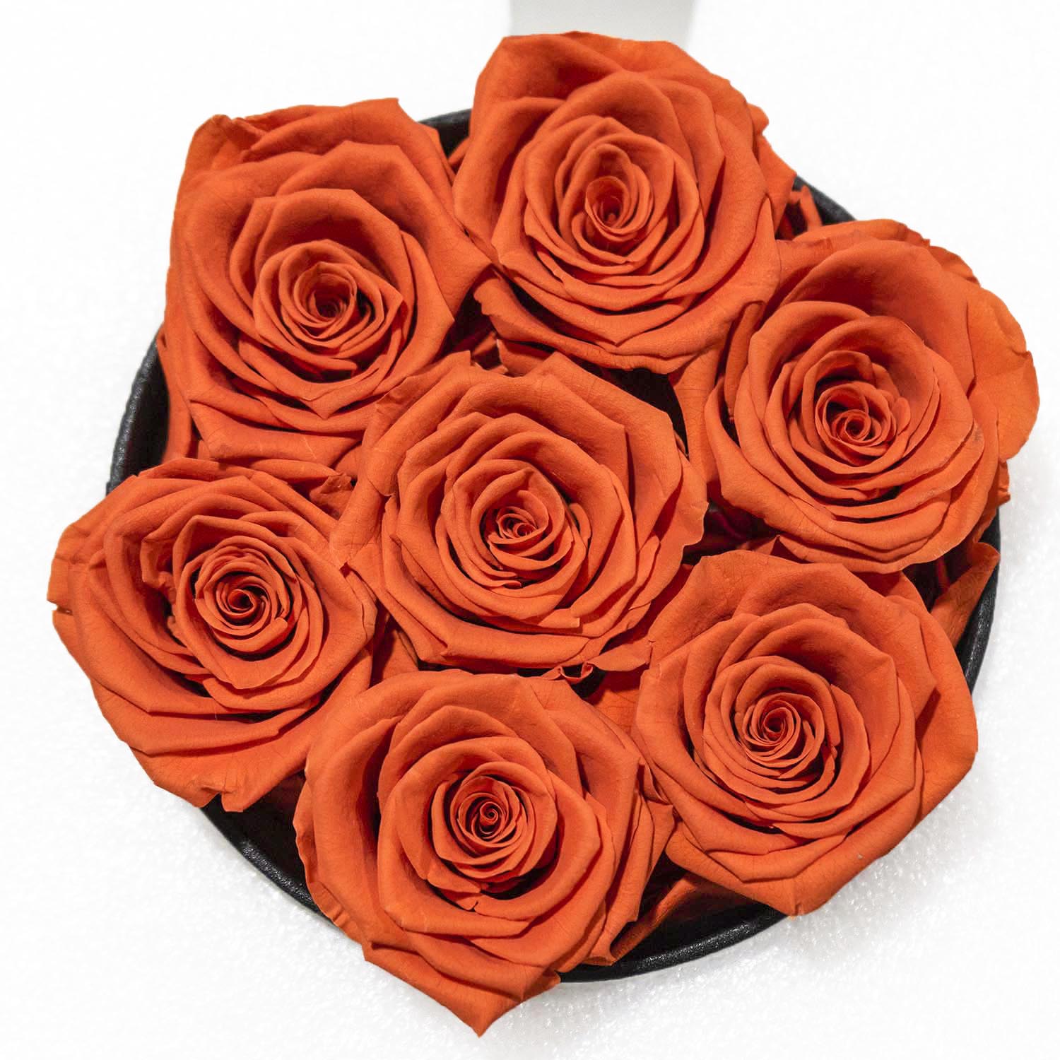 Preserved Flower Roses Series for Wedding Party Proposal - KetieStory
