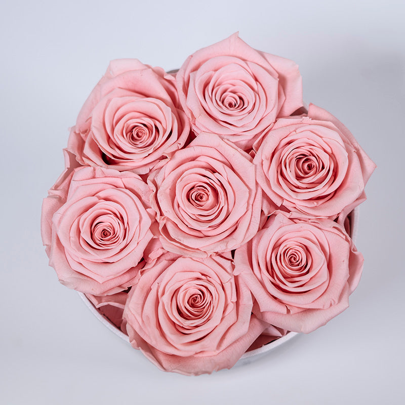 Preserved Flower Roses Series for Wedding Party Proposal - KetieStory