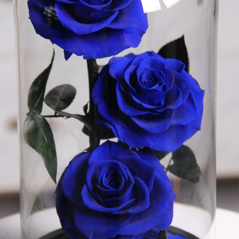 Preserved Flower Roses Box LED Light in Glass for Wedding Party Decor